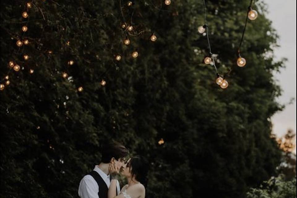 Vested groom, forest - $249