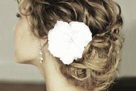 Elegant updo