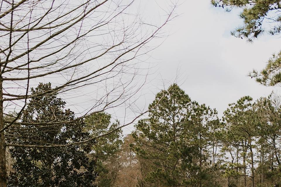 Heritage Pine