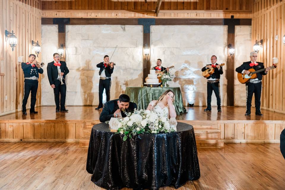 Mariachi band live music