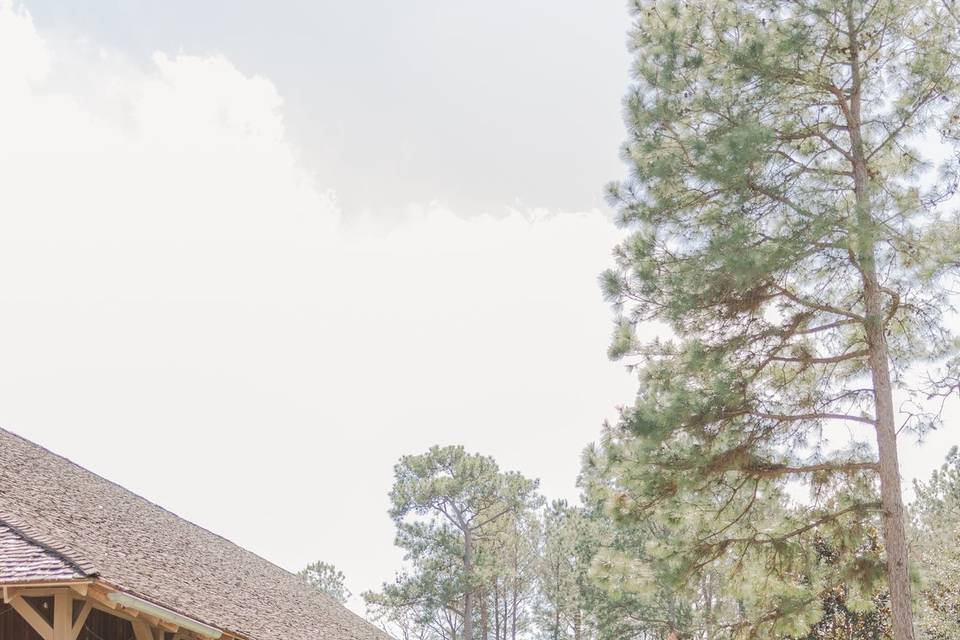 Wedding venue in Houston, TX