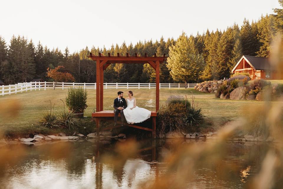 Pond Portraits