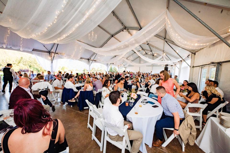 Reception tent hosting 300