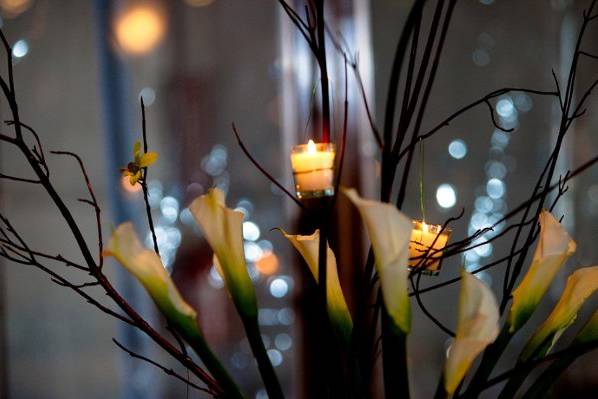 Parker Events