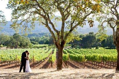 A Beautiful Ceremony Napa Valley