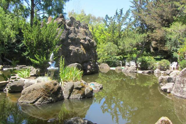 Mauna Kai Water Gardens