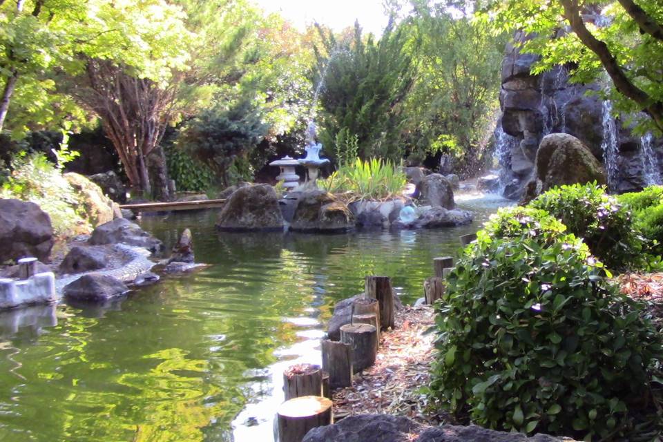 Mauna Kai Water Gardens