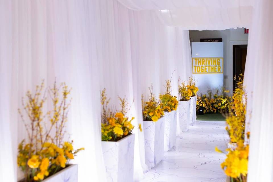 Hallway Draping