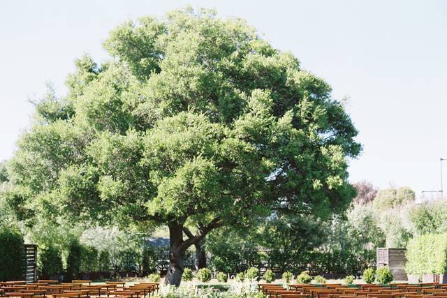 The Oak Grove at the Barlow