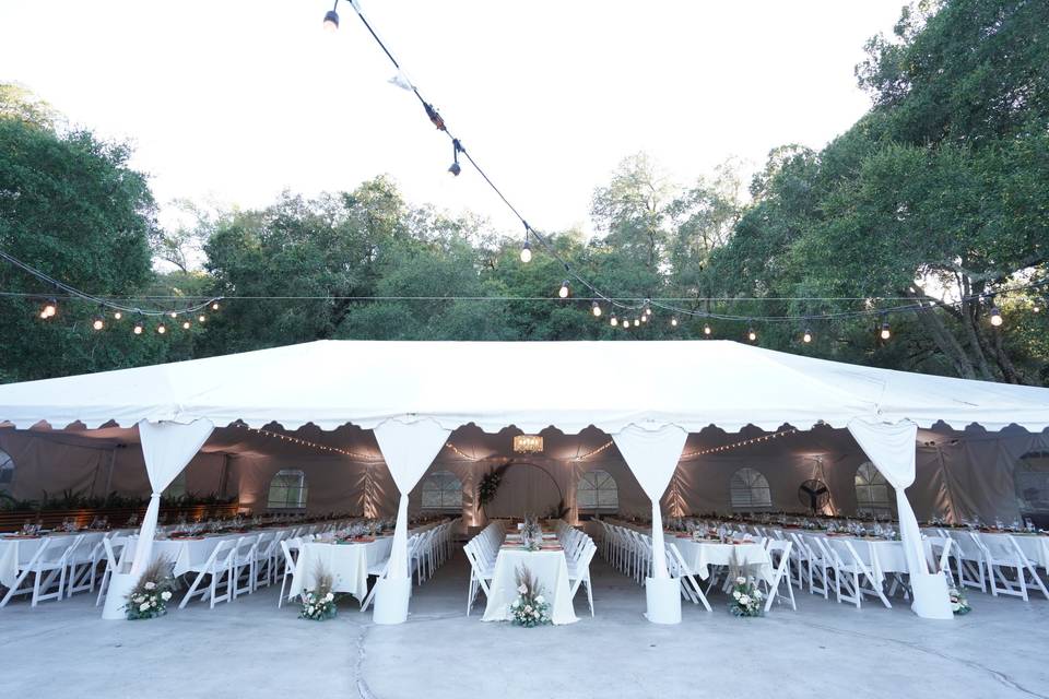 Long Tables in Reception Tent