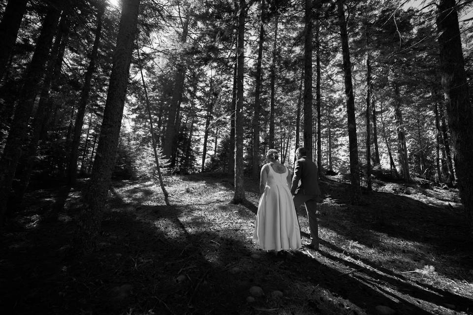 Couple in forest