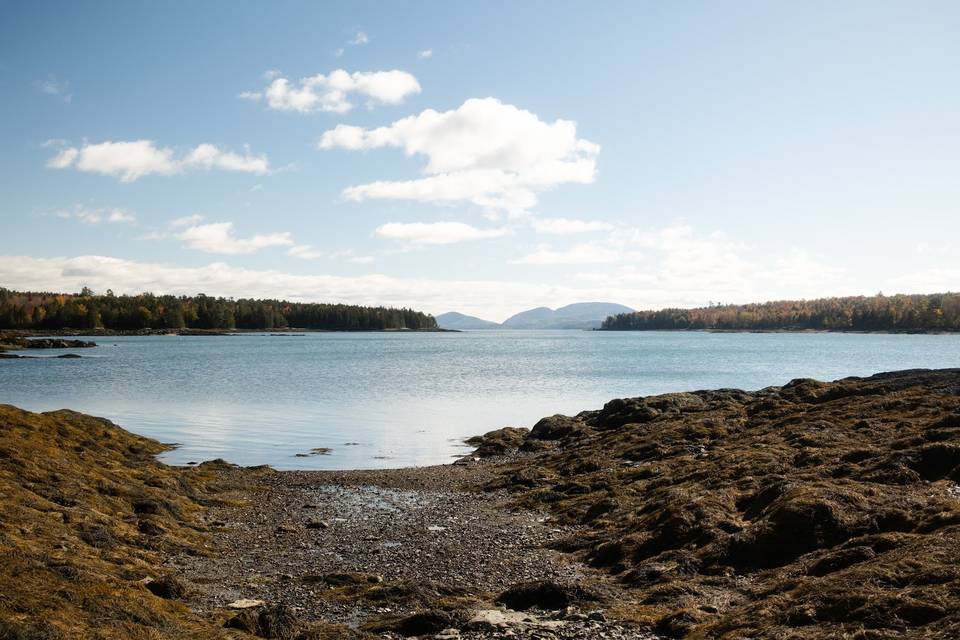 View of MDI