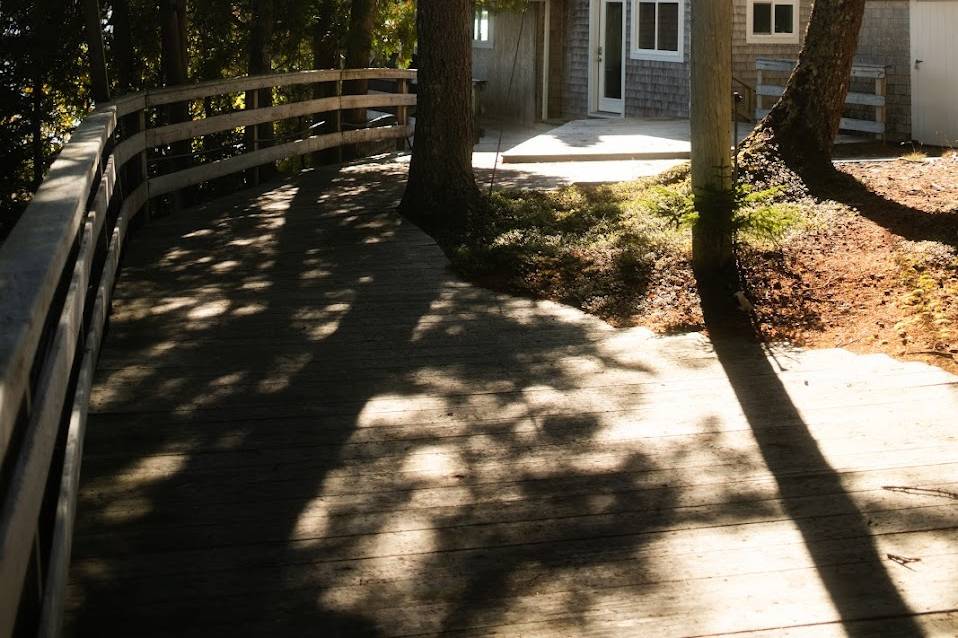 The island house