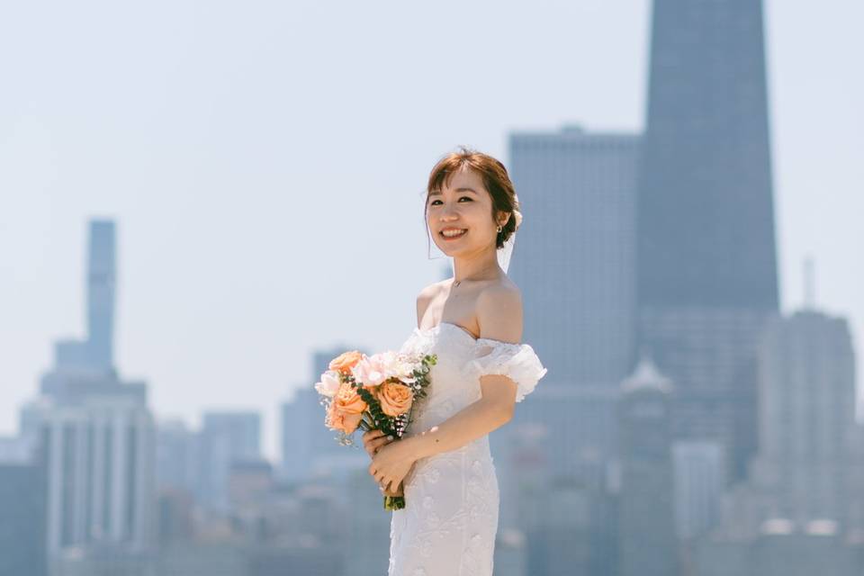 MoLight Photo Studio