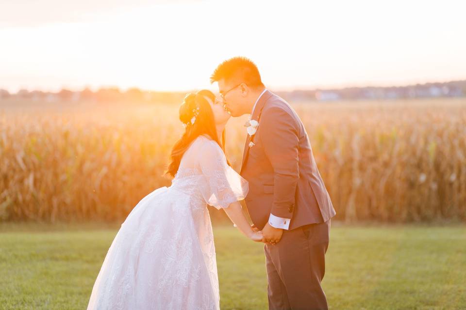 MoLight Photo Studio