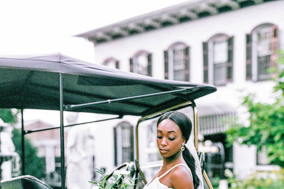 Bridal portrait