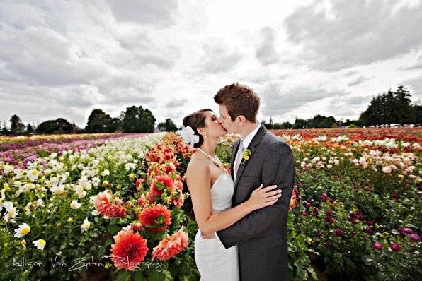 Allison Van Zanten Photography