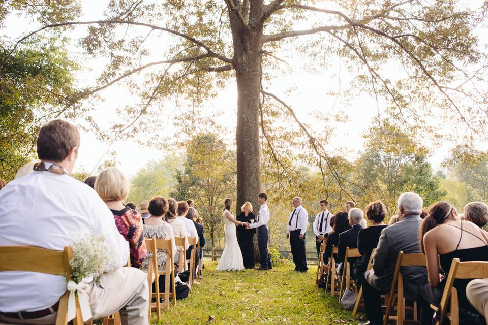 Wedding ceremony