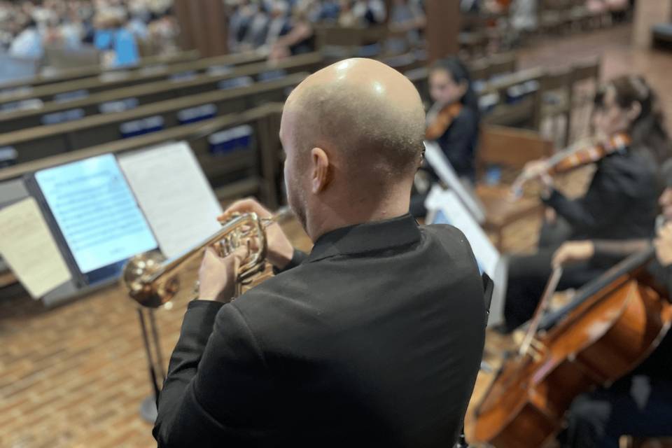 Live with String Trio