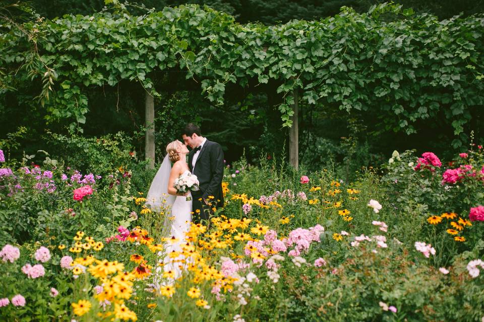 The Arbor and Rose Garden