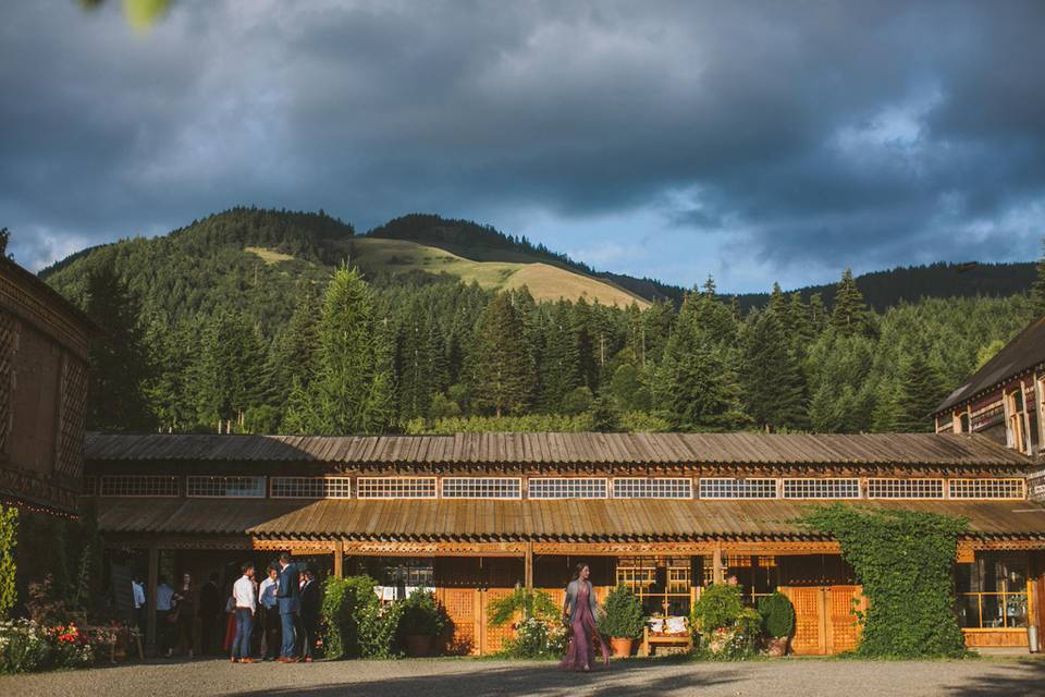 Mt Hood Organic Farms