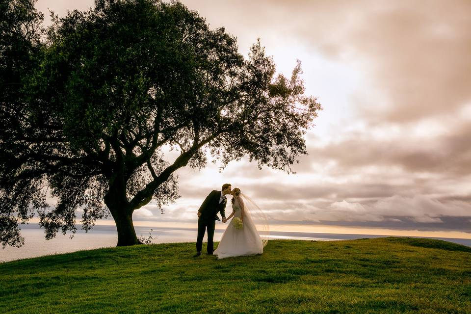 Under the favorite tree