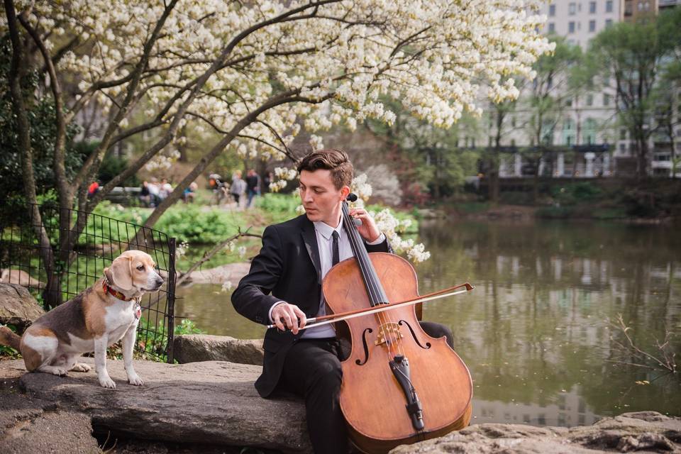 Cellist Sam in Central Park