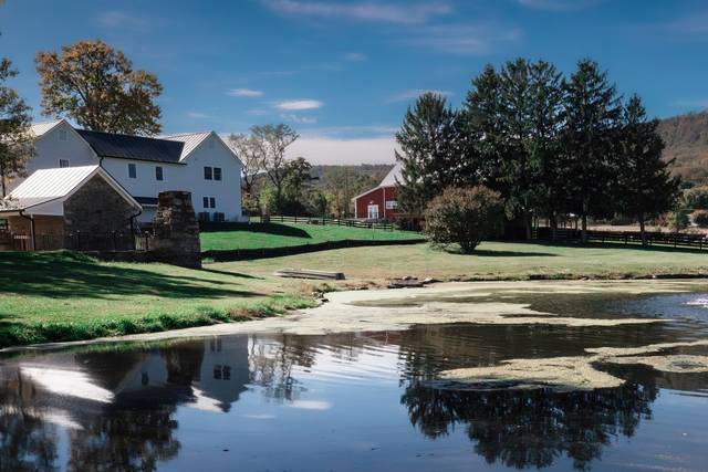 Pond