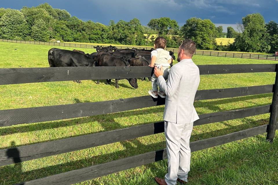 Pasture