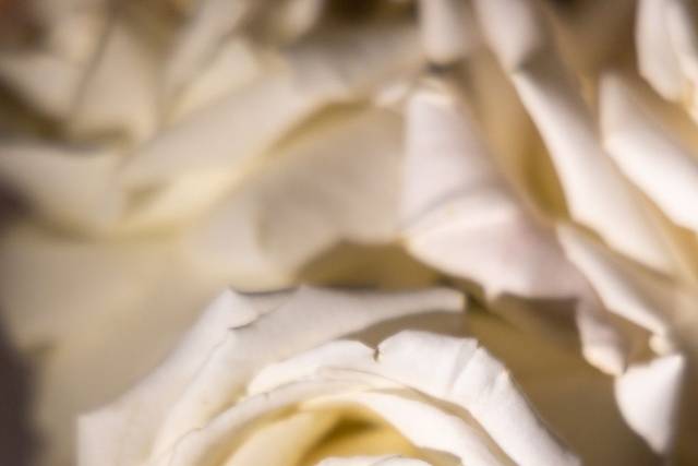 TheRoyalBride.com