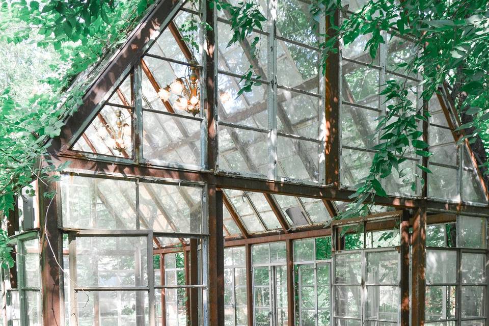 The greenhouse