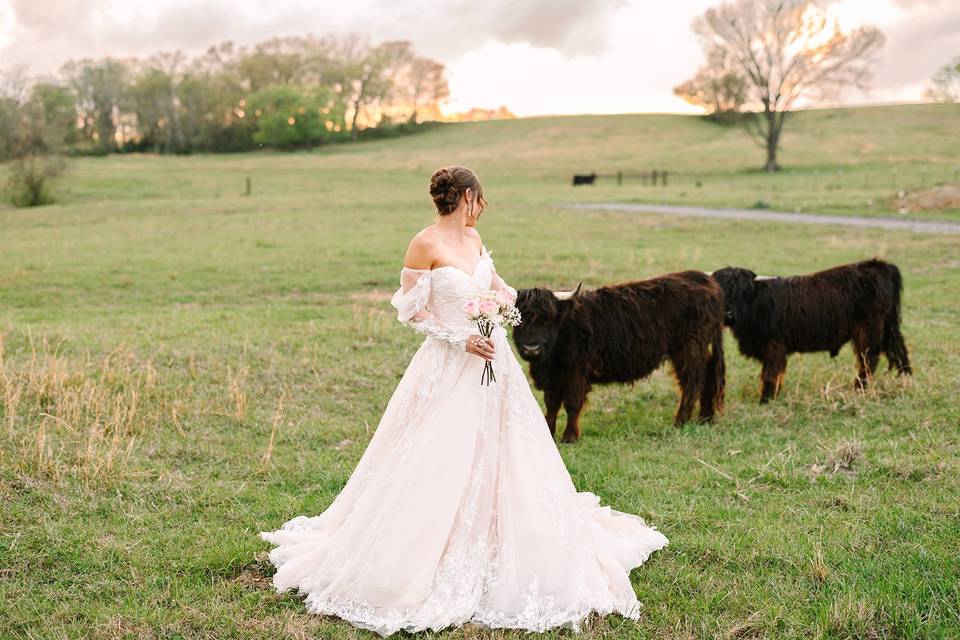 Photo by Kara Faye Photography