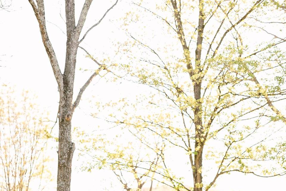 Photo by Kara Faye Photography