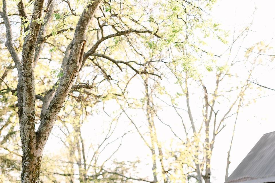 Photo by Kara Faye Photography