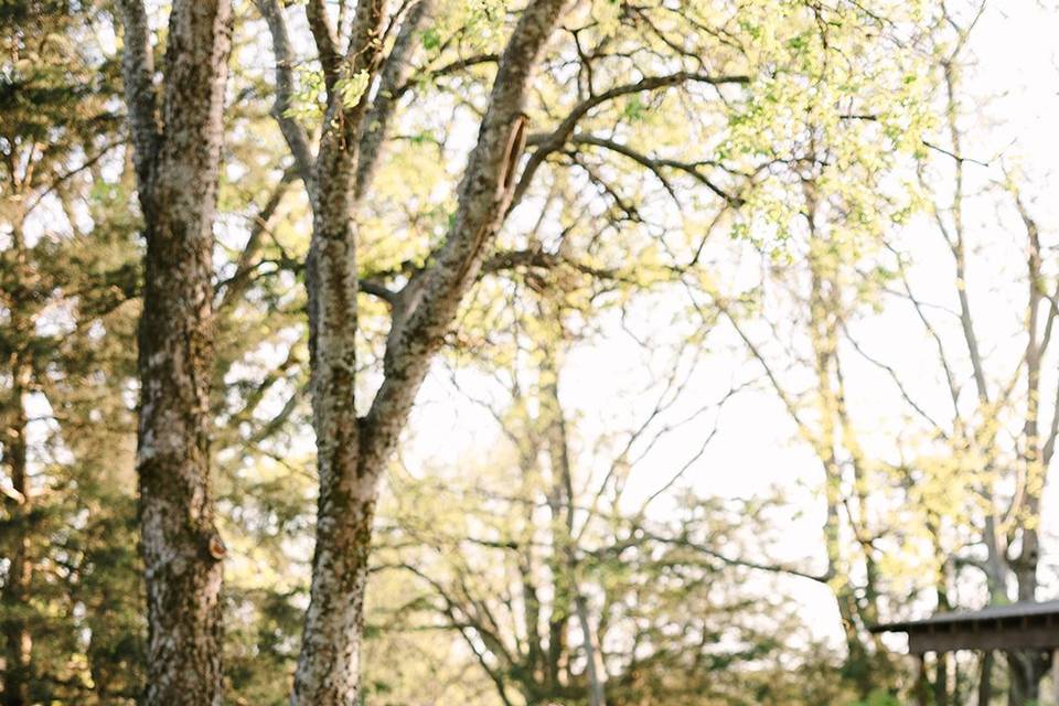 Photo by Kara Faye Photography
