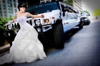 Pro Limousine & Transportation