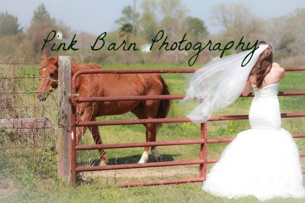 Pink Barn Photography