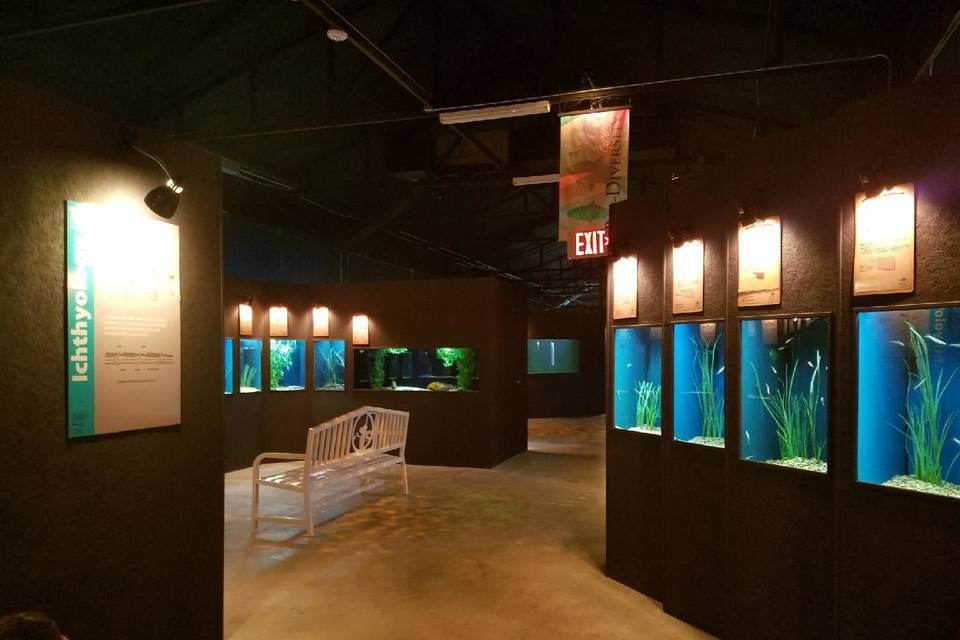 Medicine Park Aquarium & Natural Sciences Center