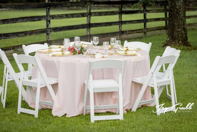 A beautiful reception set up