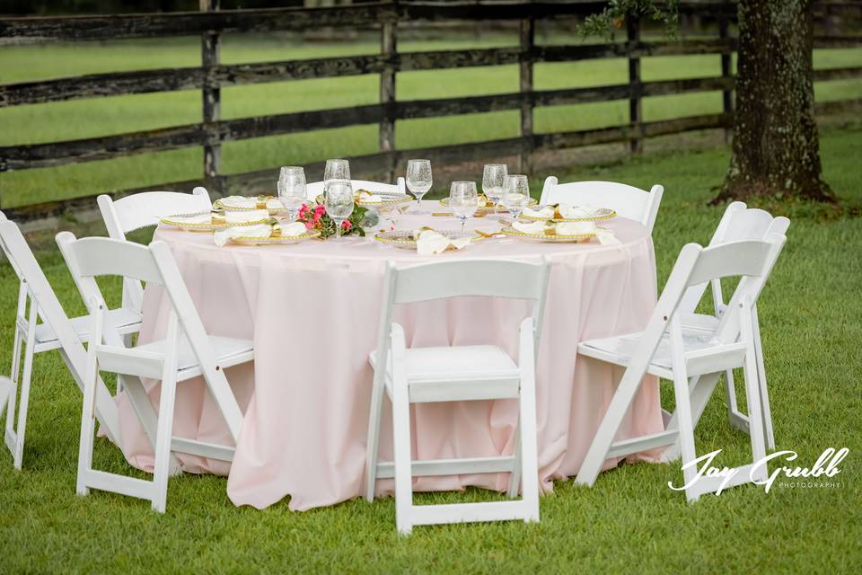 A beautiful reception set up