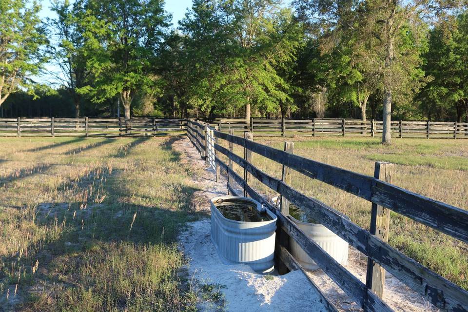 Horse Pasture