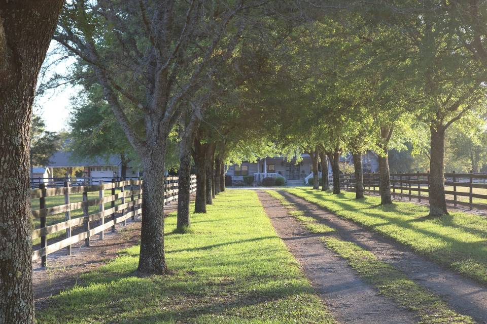 Front Walkway