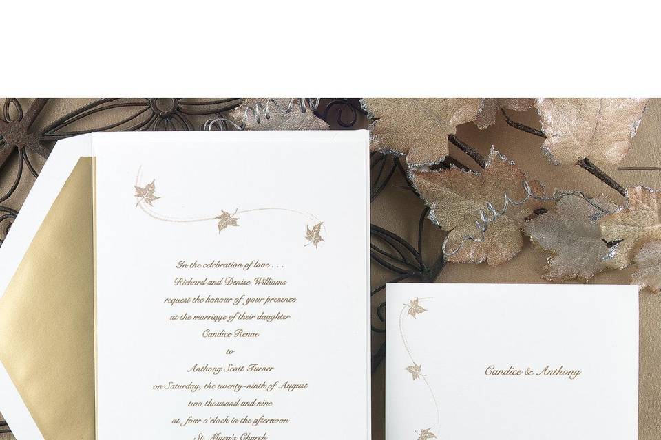 Classic Tradition Wedding Invitations - A delicately embossed triple panel surrounds your wording on this ecru non-folding invitation card.  Invitation Size: 5 1/8