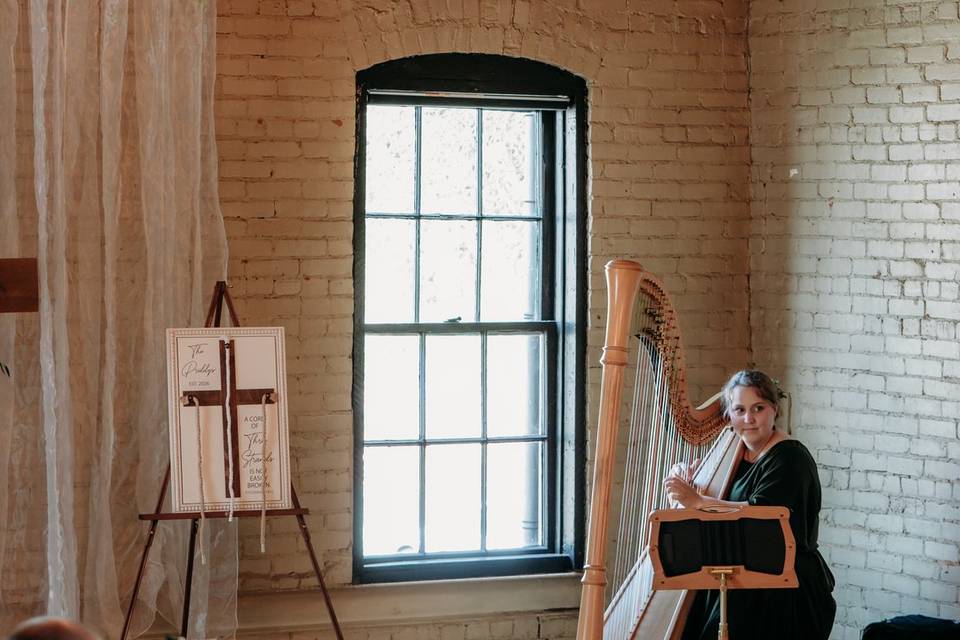 Harpist