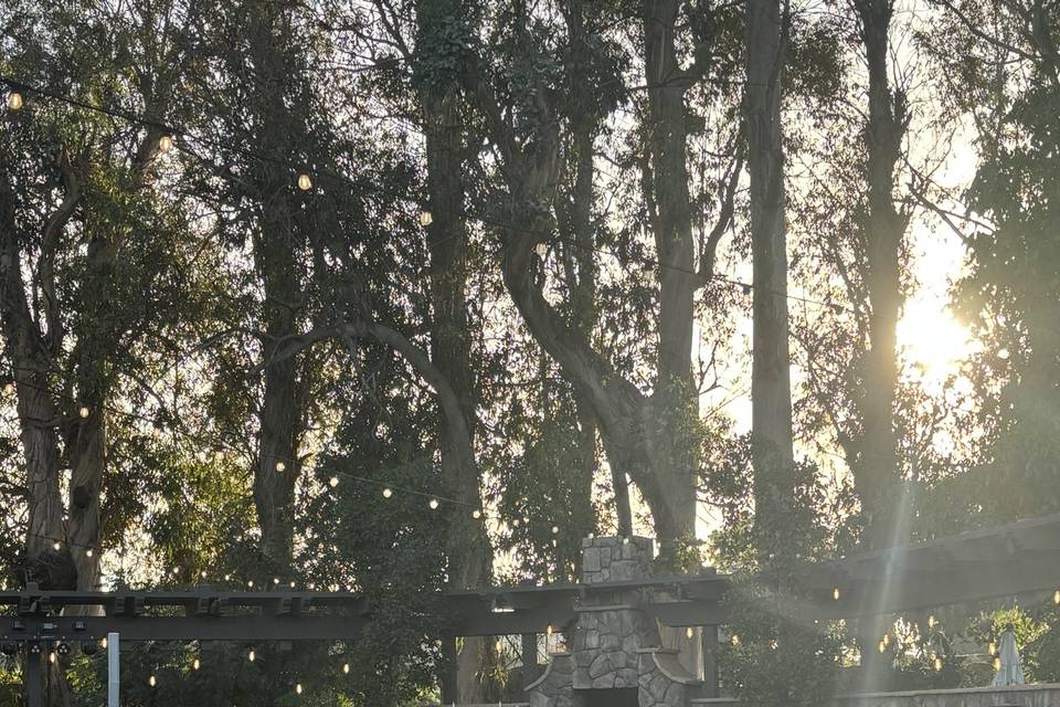Beautiful Sunlight