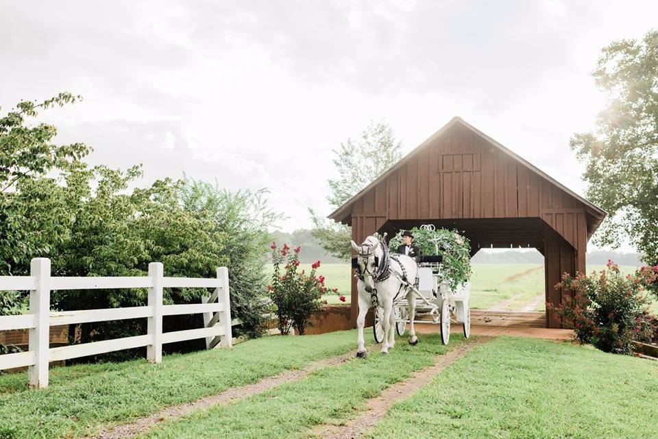 Horse-drawn carriage