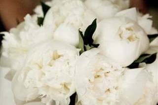 Wedding Florists In Westerly Ri Reviews For Florists