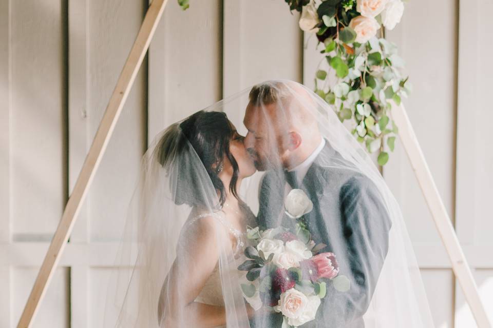 Newlyweds kiss underneath the veil