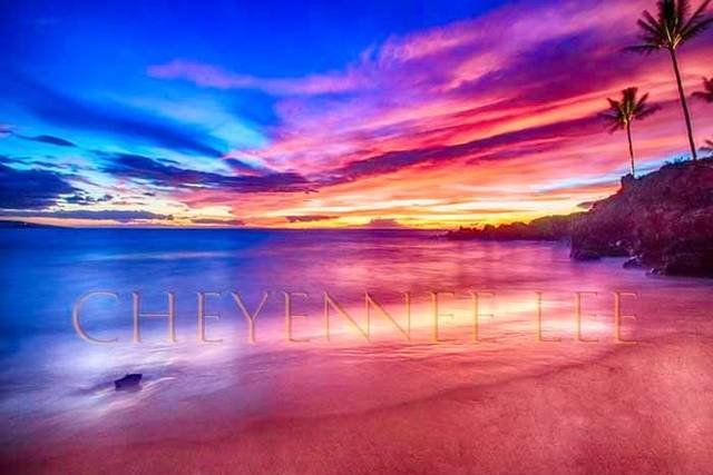 Premier Beach Photography with Cheyenne-Lee.  Wedding and special event photography --