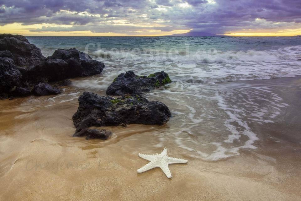 Amazing special spots for your beach side photography with Cheyenne-lee on Maui